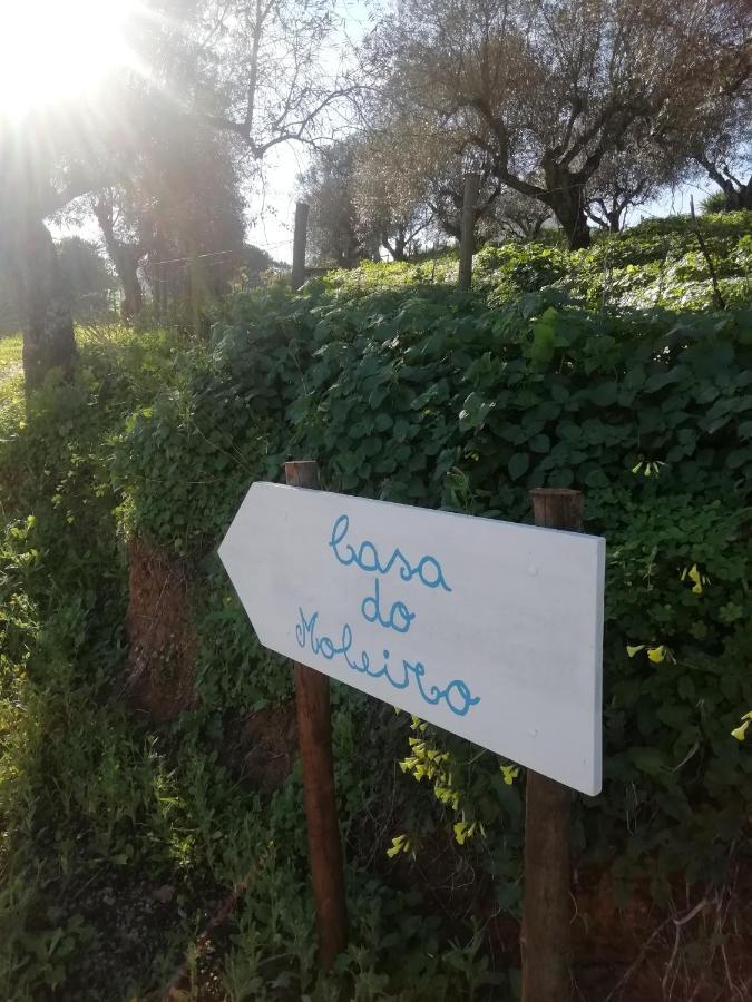 Casa Do Moleiro Villa ซังติอาโก โด กาเซ็ง ภายนอก รูปภาพ
