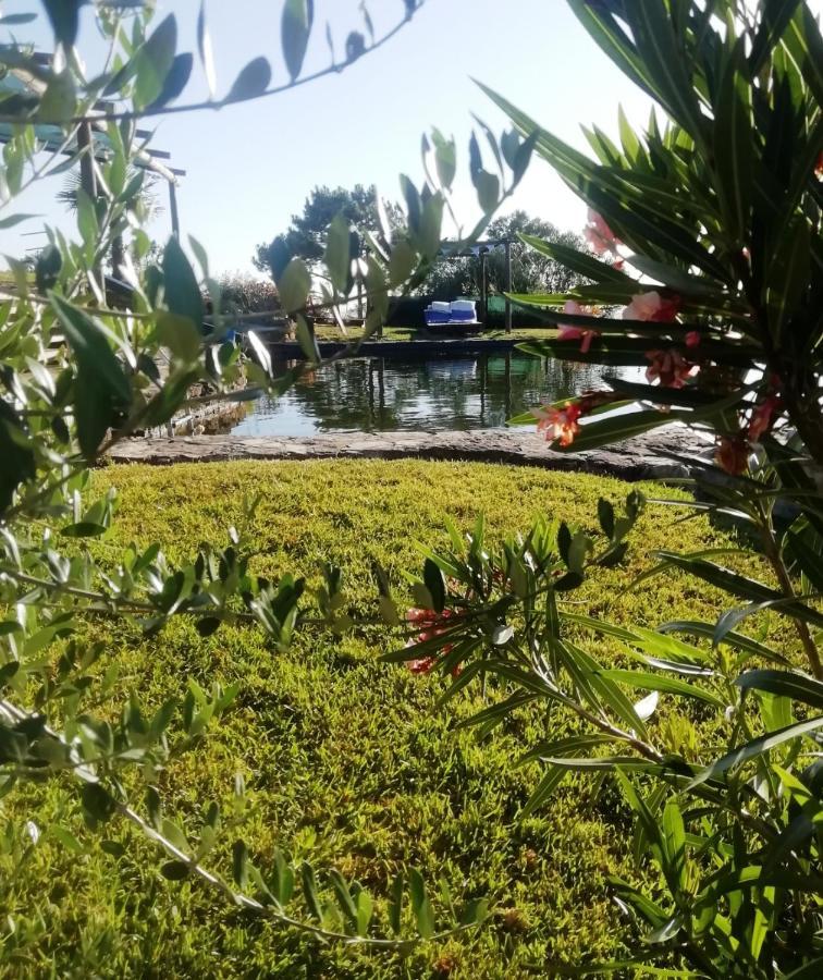 Casa Do Moleiro Villa ซังติอาโก โด กาเซ็ง ภายนอก รูปภาพ