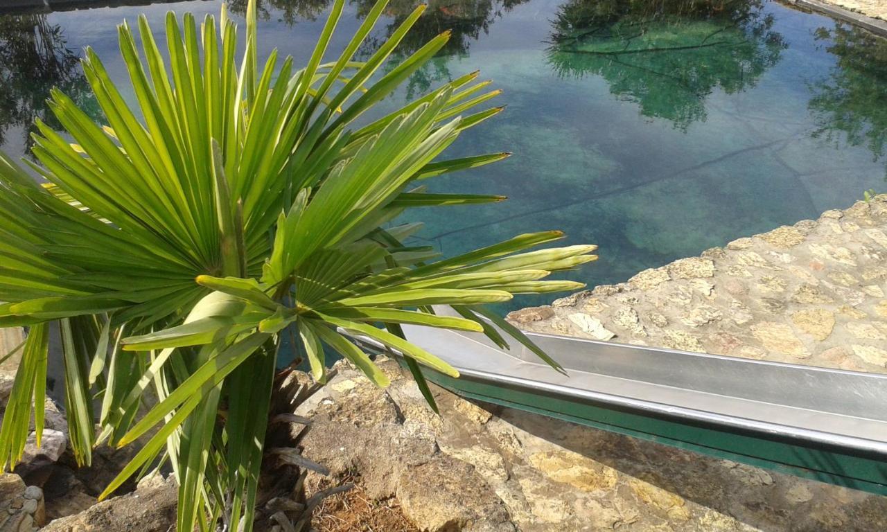 Casa Do Moleiro Villa ซังติอาโก โด กาเซ็ง ภายนอก รูปภาพ